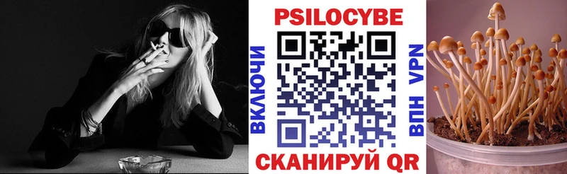 Псилоцибиновые грибы Psilocybe  Купить где  Урай 